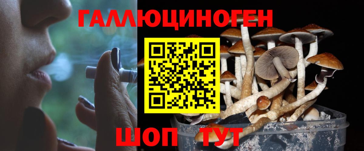 Галлюциногенные грибы Psilocybe  Вход с VPN  Новошахтинск  Галлюциногенные грибы ЛСД 